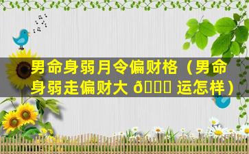 男命身弱月令偏财格（男命身弱走偏财大 🐛 运怎样）